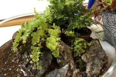 僕はアル！よろしくね