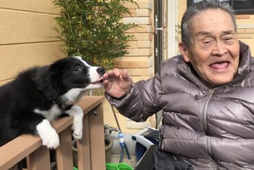 プロバンス風の花壇が完成