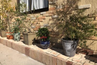 僕はアル！よろしくね